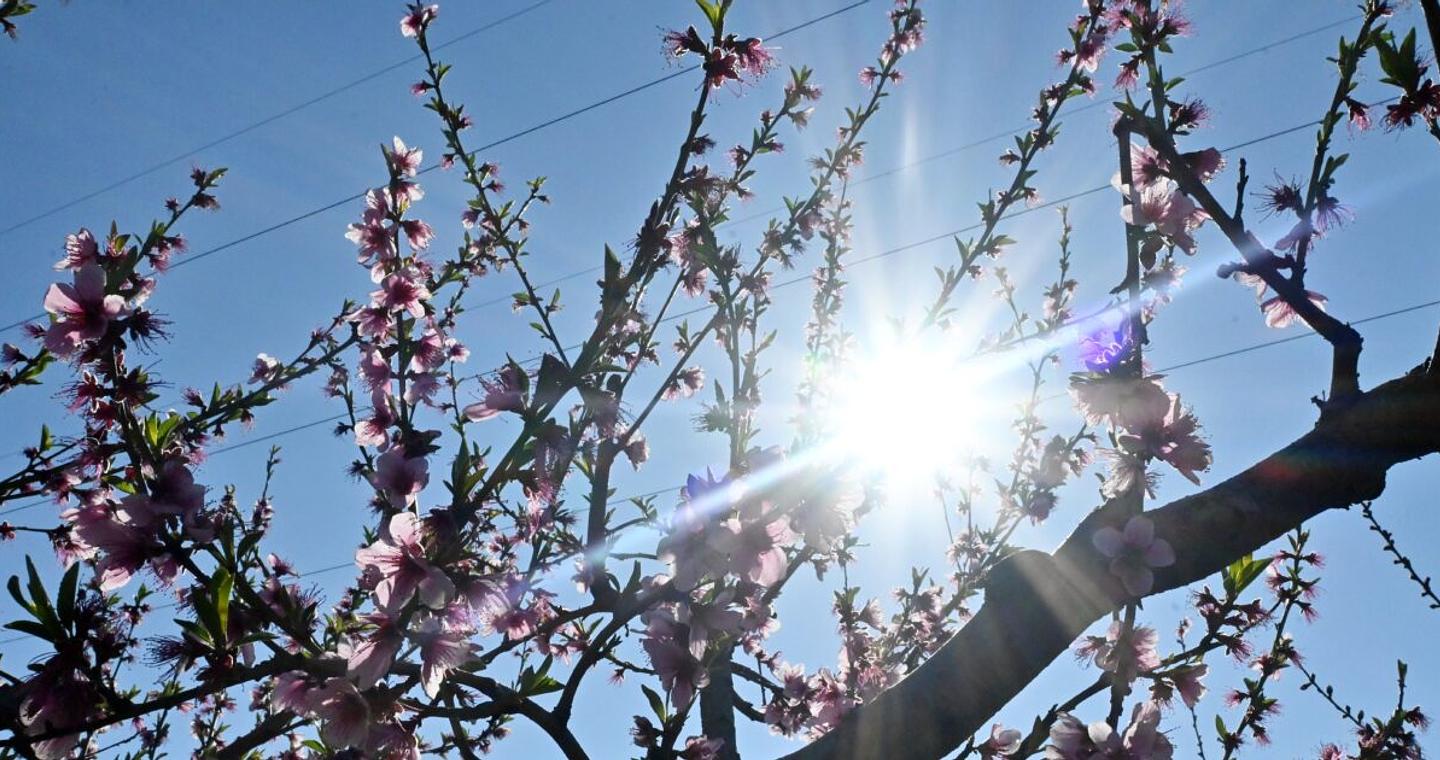Καιρός σήμερα: Ηλιοφάνεια με λίγη συννεφιά - Βροχές σε περιοχές της Κρήτης