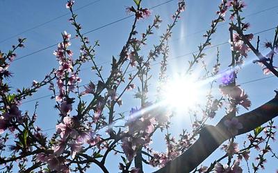 Η άνοιξη επιστρέφει: Πού θα «χτυπήσει» 22άρια ο υδράργυρος σήμερα