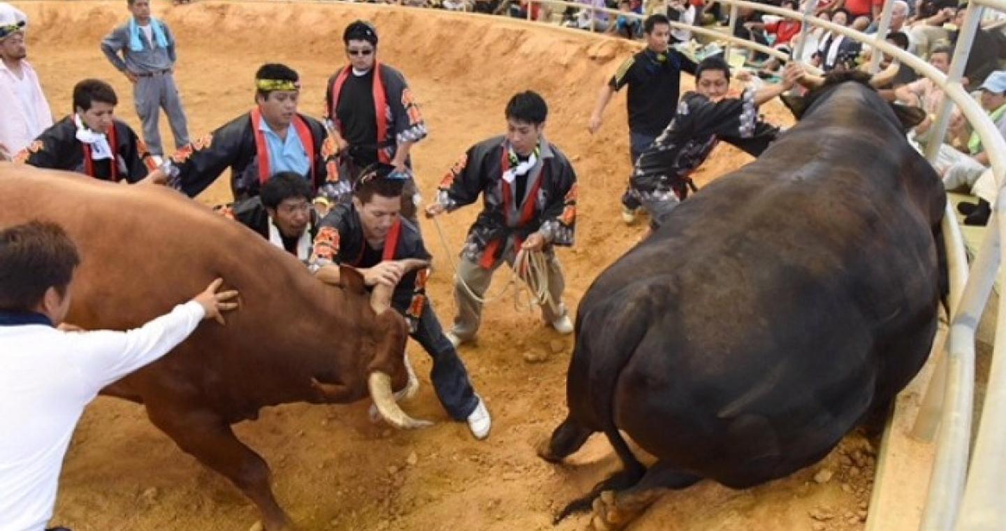 Στιγμές φρίκης στο Campo Pequeno της Λισαβόνας: Νεκρός 22χρονος ταυρομάχος μετά από επίθεση ταύρου (Φωτογραφίες)