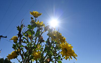 Από τον παγετό στους 19 βαθμούς: Η μεγάλη ανατροπή του καιρού