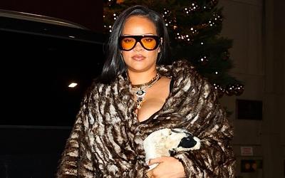 Στόχος ένοπλης επίθεσης η Ριάνα: Όλα όσα συνέβησαν στην έπαυλή της