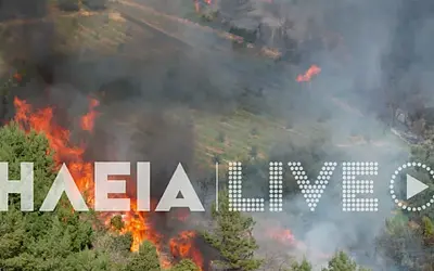 Πύρινος εφιάλτης στην Ηλεία: Δύο μέτωπα κατακαίνε το δάσος στον Ελαιώνα