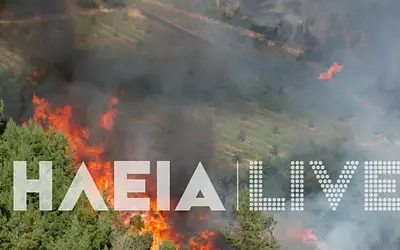 Συναγερμός στην Ηλεία: Δύο πύρινα μέτωπα απειλούν τον Ελαιώνα και το Χειμαδιό