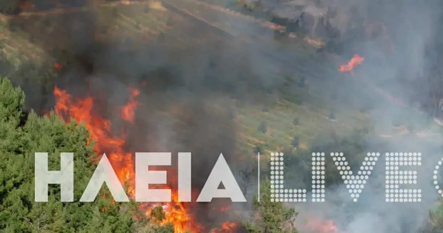 Μεγάλη φωτιά στον Ελαιώνα Ηλείας