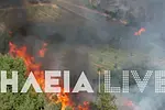 Συναγερμός στην Ηλεία: Δύο πύρινα μέτωπα απειλούν τον Ελαιώνα και το Χειμαδιό