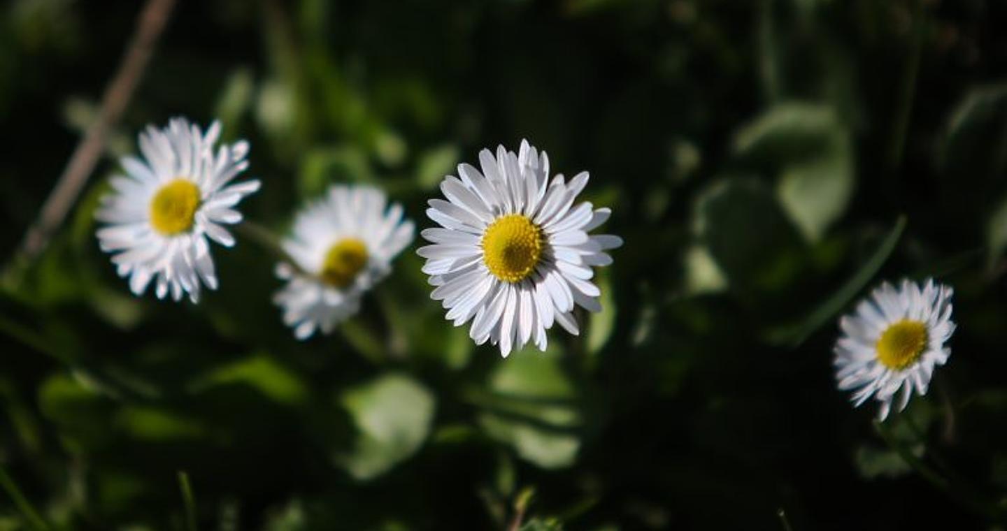 Καιρός: Από χειμωνιάτικο πρωινό σε ανοιξιάτικη ημέρα – Έρχονται βροχές και ισχυροί άνεμοι