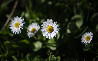 Απότομη ανατροπή του καιρού: Η άνοιξη δίνει τη θέση της στον χειμώνα