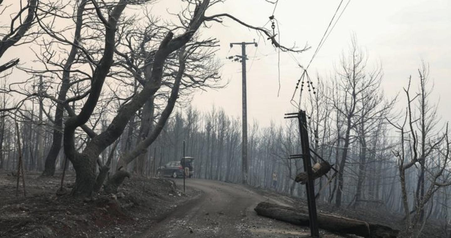 Κ. Λαγουβάρδος: 454.000 στρέμματα έχουν καεί στην Ελλάδα, από την αρχή του έτους