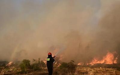Πρέβεζα: Συναγερμός για τριπλή πυρκαγιά – Μάχη με τις φλόγες!