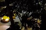 Βίαιη επίθεση σε οδηγό ταξί: Συνέληψη 35χρονου