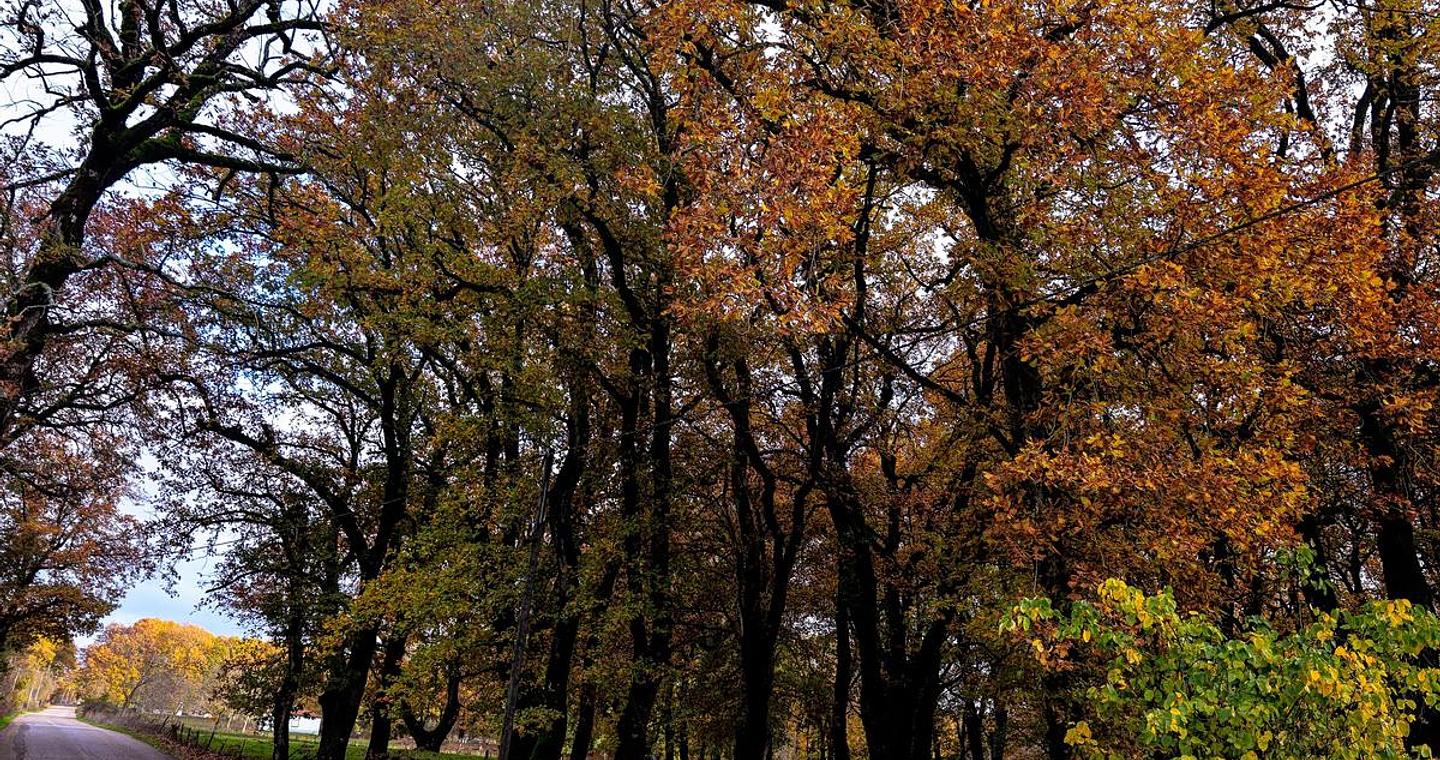 Γενικά αίθριος καιρός την Τετάρτη με θερμοκρασίες έως 27 βαθμούς – Επιδείνωση από την Πέμπτη