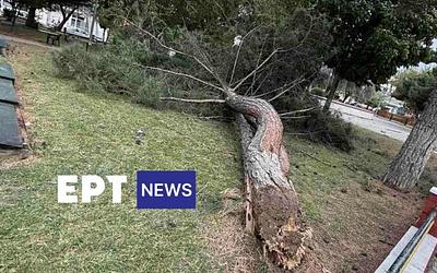 Κοζάνη: Χωριά στο σκοτάδι, φωτιές και ζημιές από τους θυελλώδεις ανέμους