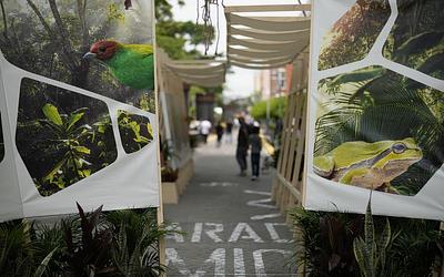 COP17 στη Γερεβάν: Ο πλανήτης εξετάζει την «καρδιά» της φύσης — και η διάγνωση είναι άσχημη