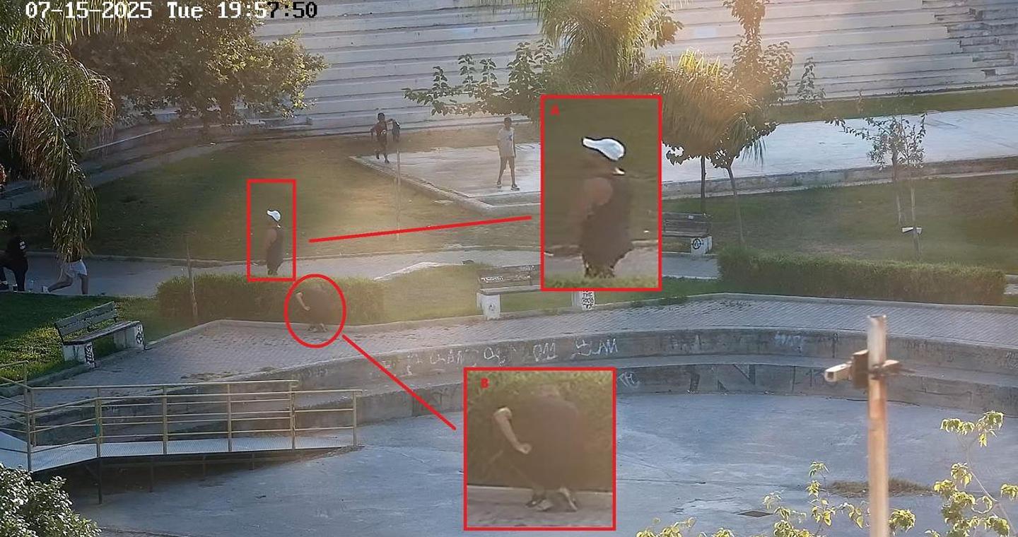 Nτοκουμέντα για τη μαφία της Κρήτης: Οι «επιδείξεις» όπλων και τα ραντεβού