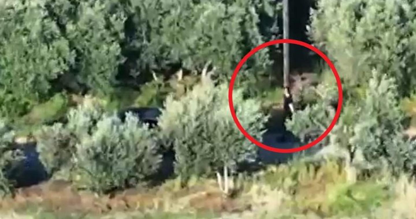 Δημογλίδου στο ΕΡΤnews για τη μαφία της Κρήτης: Έρχονται και άλλες συλλήψεις