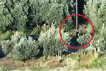 Κρήτη: Απολογούνται οι πρώτοι κατηγορούμενοι για την εγκληματική οργάνωση