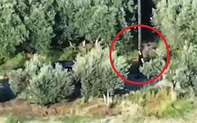 Κρήτη: Απολογούνται οι πρώτοι κατηγορούμενοι για την εγκληματική οργάνωση