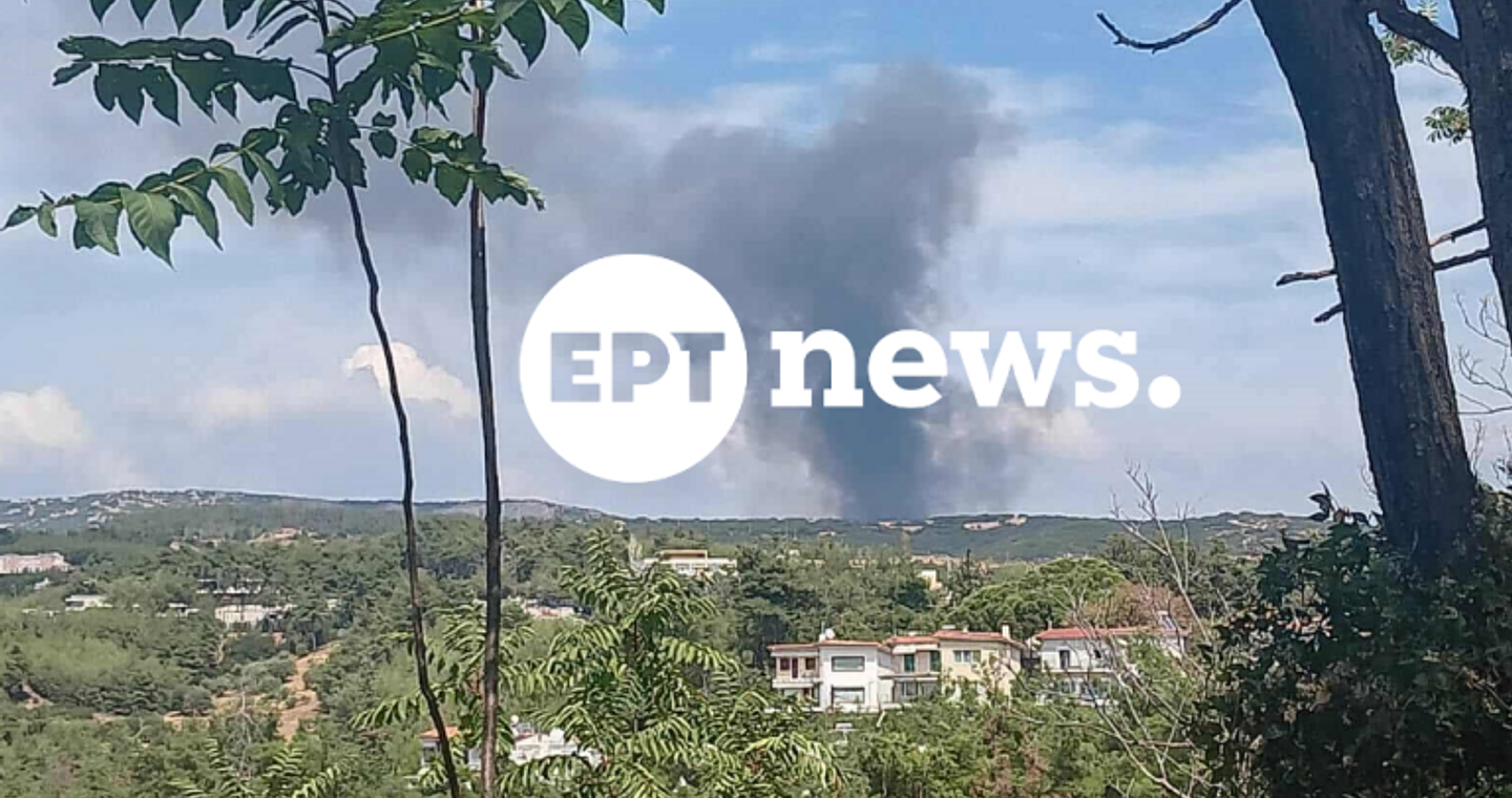 Θεσσαλονίκη: Φωτιά αυτήν την ώρα σε δασική έκταση στην Πυλαία- Ήχησε 112 (φωτο & βίντεο)
